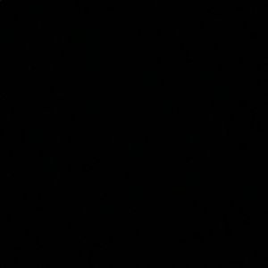 Meet your Posher, Bryce